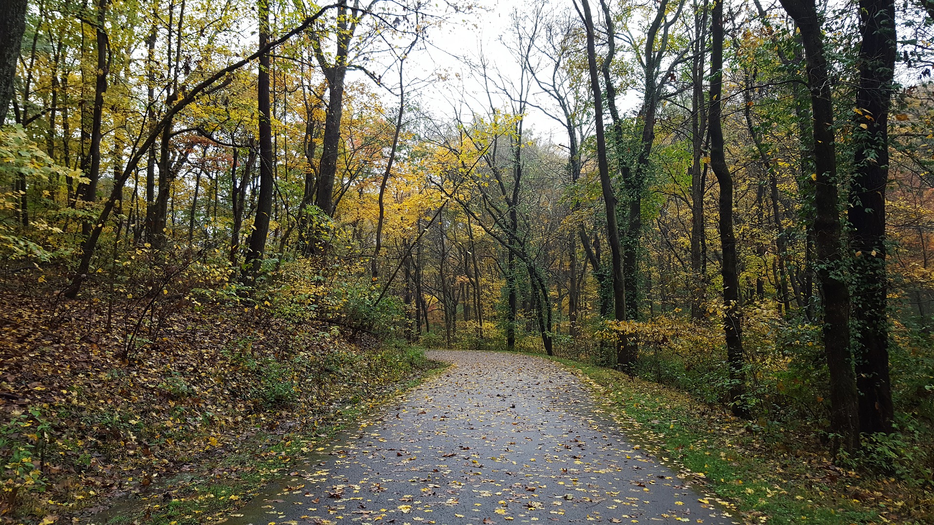 New Live Free chapters!